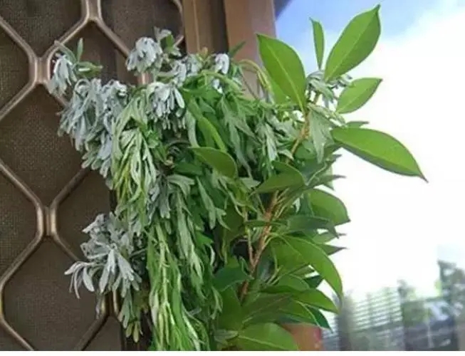 u=2711306640,1017409411&fm=253&fmt=auto&app=138&f=JPEG.webp.jpg